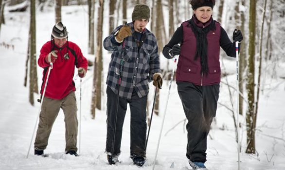Springwater Forest Cross Country Skiing