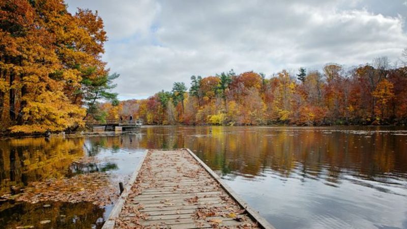 spw-fishing-platform