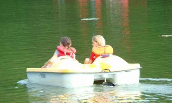 Springwater Forest Pedal Boats