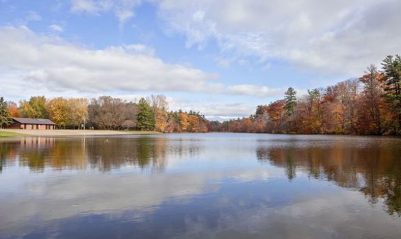 SPringwater Pond Viewing the Beach