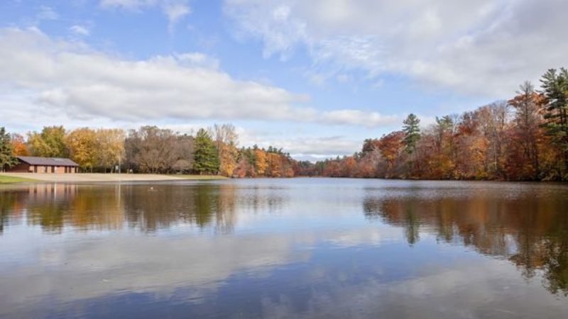 spw-pond-viewing-beach