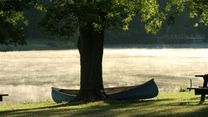 spw-pond-in-mist