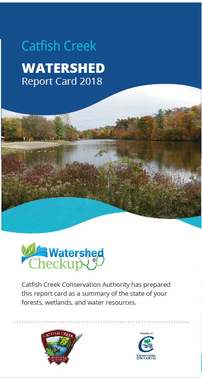watershed report card cover