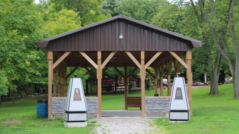 Pavilion Maple